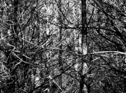 Ashtoreth: Channeling My Triumph/Requiem