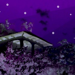 Fantasía bajo las estrellas