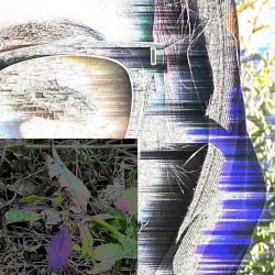 DMT CRY
