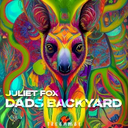 Dads Backyard