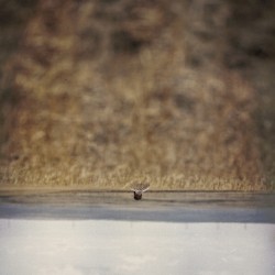 Hands That Bind (Original Motion Picture Soundtrack)