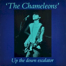 Up the Down Escalator