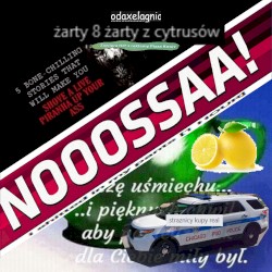 żarty 8: żarty z cytrusów