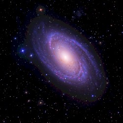 M81