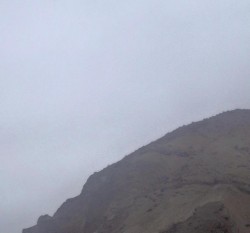 too little, too late