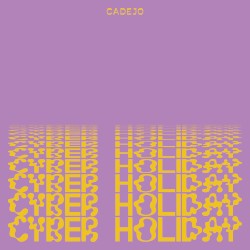 Cyber Holiday