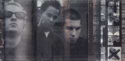 Hybrid Theory