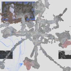 New Forms of Silence