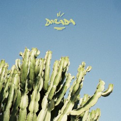 Dorada