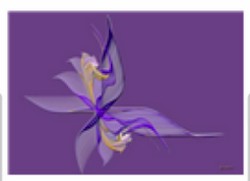 Butterfly Orchid