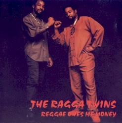 Reggae Owes Me Money