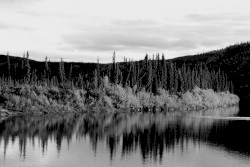 Laisser l’Eau Couler Avant la Fin