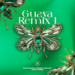 Guaya Remix 1