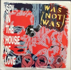 Spy in the House of Love
