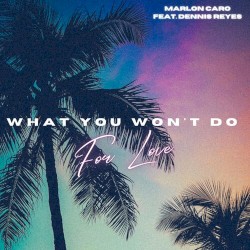 What You Won't Do For Love