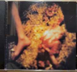 Surgical Transfusion Of Molting Sensory Reflections