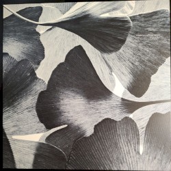 Vyana EP