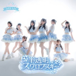 半透明スワロフスキー