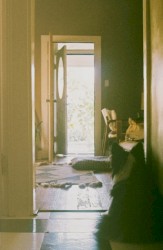 Once It's All On The Ground