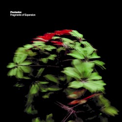 Fragments of Expansion