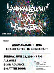 2014-06-22: DNA Lounge, San Francisco, CA, USA