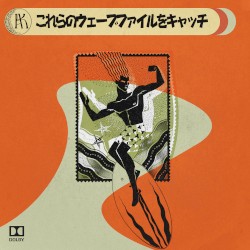 これらのウェーブファイルをキャッチ