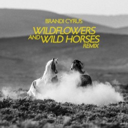 Wildflowers and Wild Horses (remix)