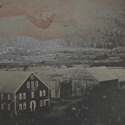 Forget the One Who Haunts You