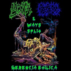 2 Ways Split Gedencia Etilica