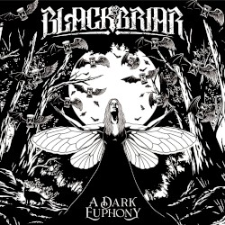 A Dark Euphony