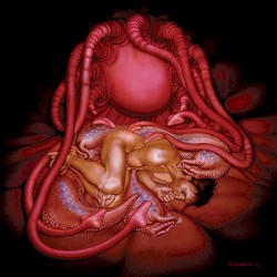 Flesh for the Living