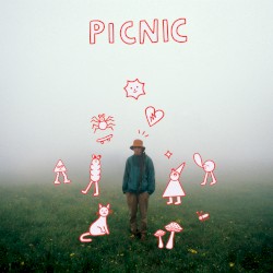 Picnic