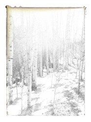 drifting (remixes and extras)