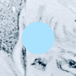 Joint Iris Seg
