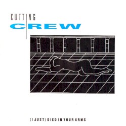 (I Just) Died in Your Arms