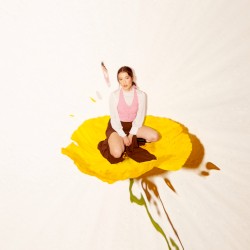 spiralling (over discourse on the internet)