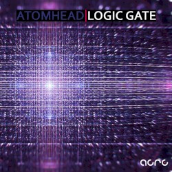 Logic Gate