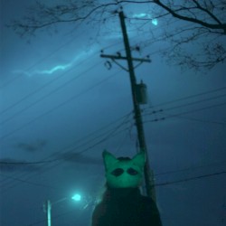 nothing is real, part XXII