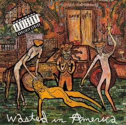 Wasted in America