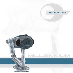 Millennium