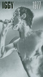 Iggy 1977