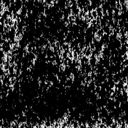 Black and White Noise