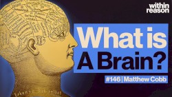 Within Reason #146, “The Most Complicated Thing in the Universe: What Is the Brain?”