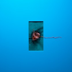 It’s Just a Feeling