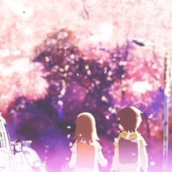5 Centimeters Per Second