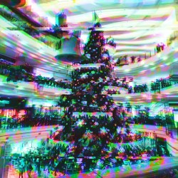 The Signalwave Christmas Special 2024