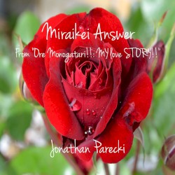 Miraikei Answer (from "Ore Monogatari!!: MY love STORY")