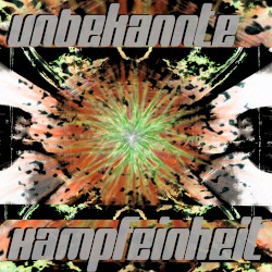 Unbekannte Kampfeinheit