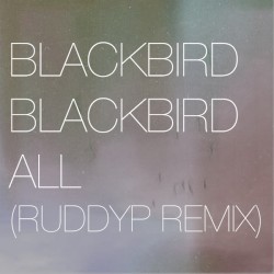 All (Ruddyp remix)