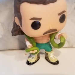 Snake Bit
